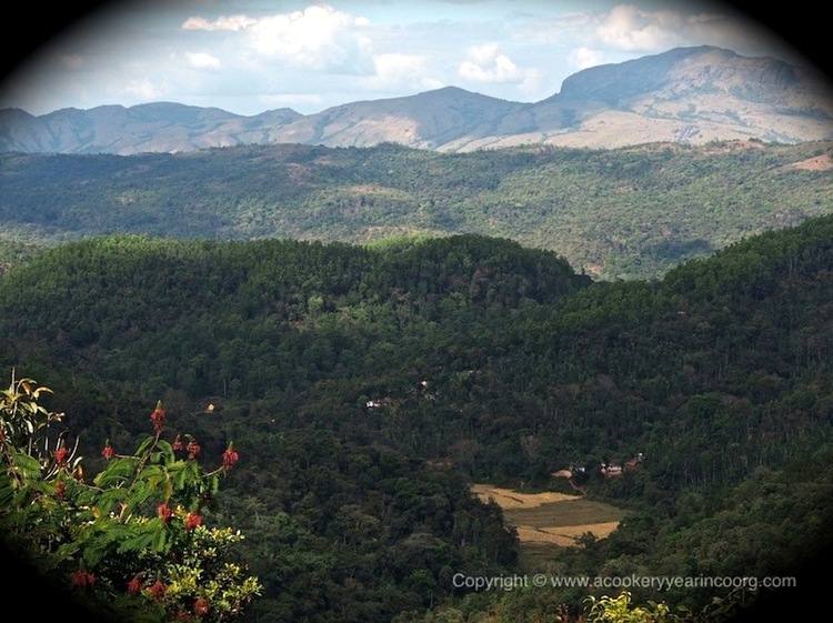 coorg homestead