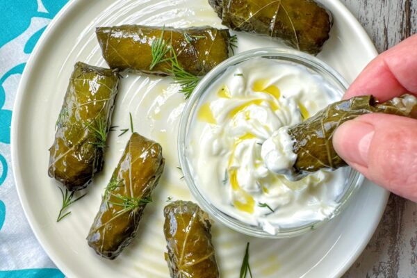 Dolmades Stuffed Grape Vine Leaves with Greek Yogurt Dip