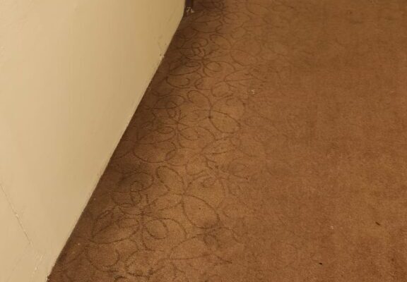 From a Star to a Stain: My Disheartening Stay at Sahara Star, Mumbai