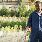 Why Home Gardening is Great for Ethiopia