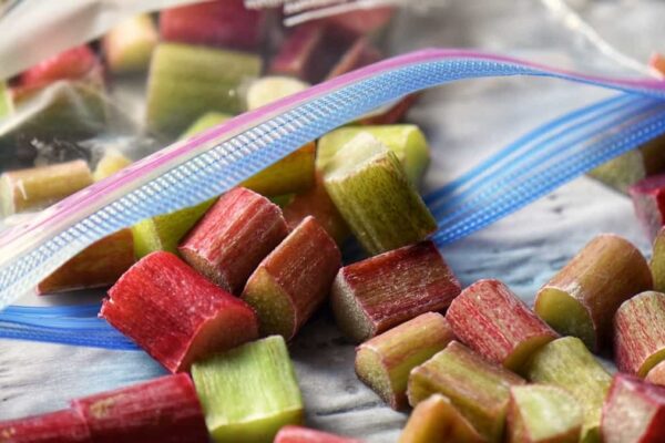 How to Freeze Rhubarb: A Step-by-Step Guide Diced rhubarb in a Ziploc freezer bag.