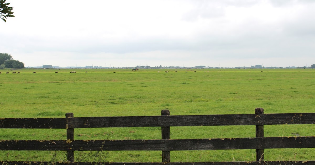 My Little Expat Kitchen: Dutch countryside in pictures