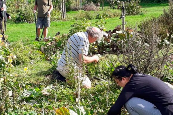 Our July climate heroes | Good Food Our July climate heroes | Good Food