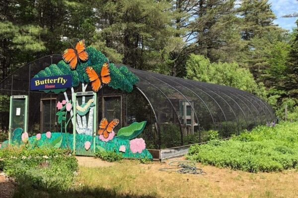Revival of Jallo Park - Youlin Magazine