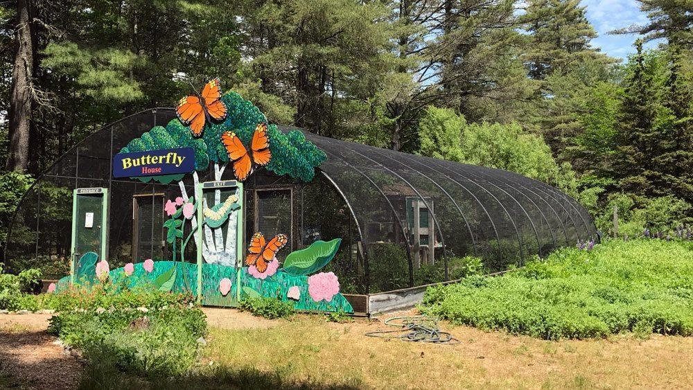 Revival of Jallo Park - Youlin Magazine