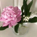 Peony and Lily of the Valley in a vase