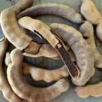 sour tamarind pods