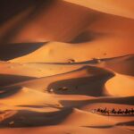 Caravan in the desert, Merzouga, Morocco