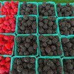 The Real Reason You Shouldn’t Sample Berries Before Buying Them