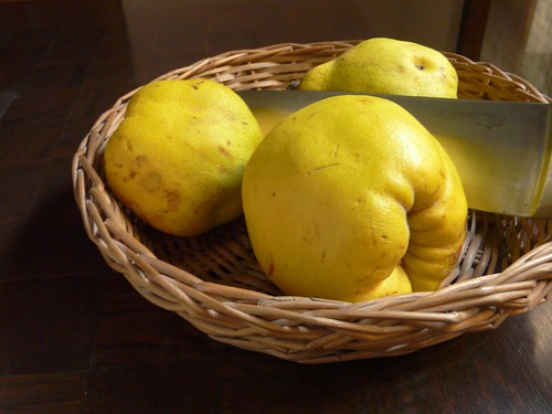 Walking down memory lane… – A Mad Tea Party Quince