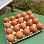 egg substitutes - David Lebovitz