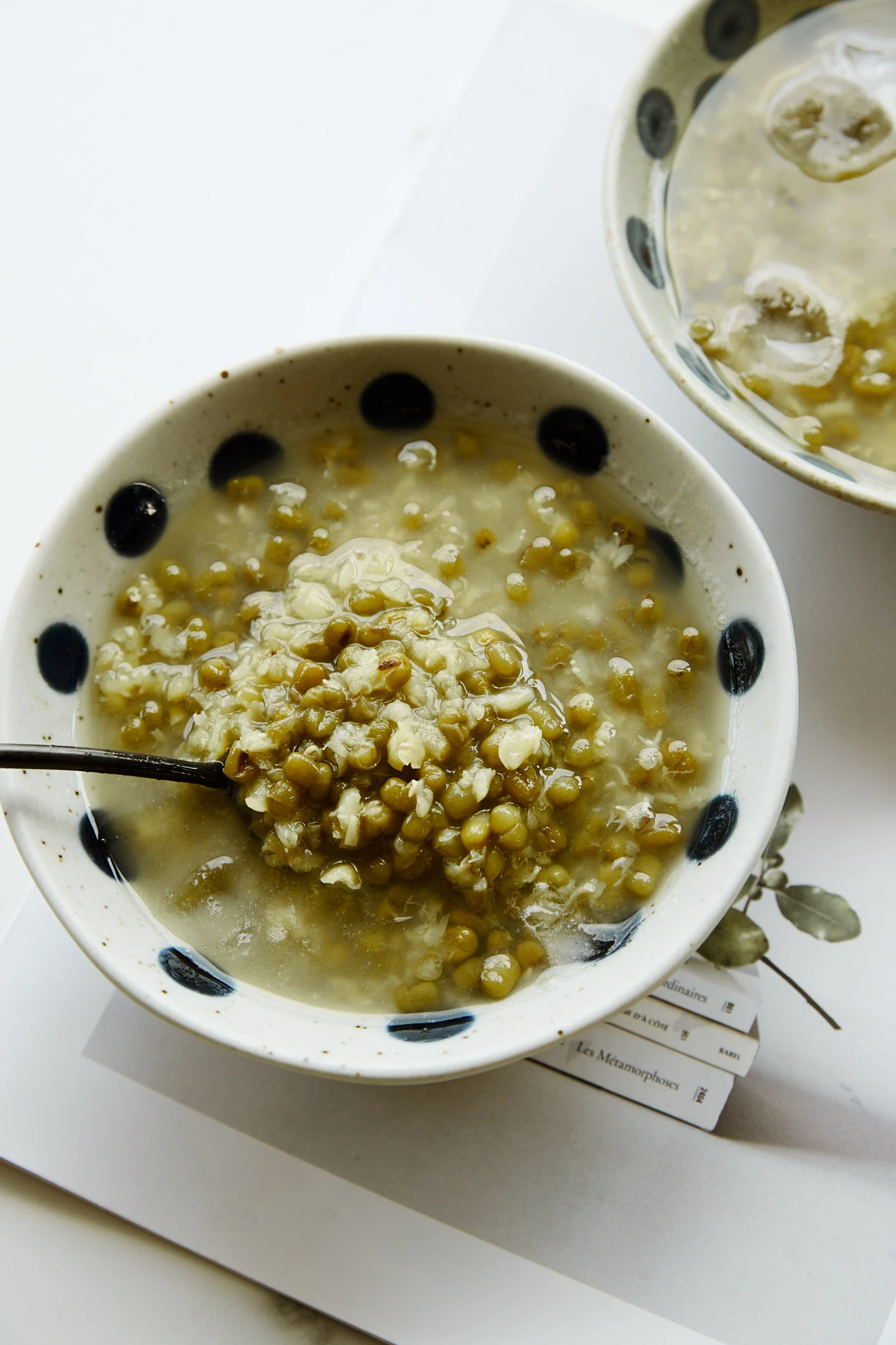 mung bean soup | chinasichuanfood.com