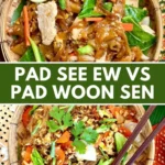 Pad see ew vs pad woon sen: comparison of two Thai noodle dishes.