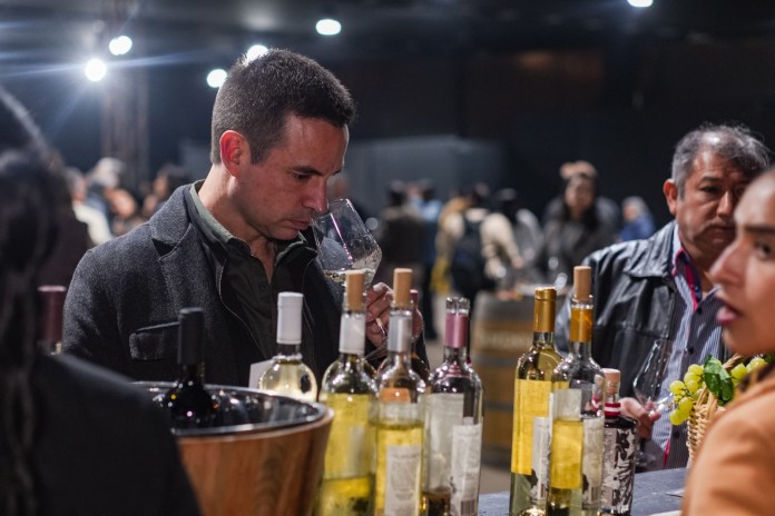 Salón del Vino Peruano 2025: More than 280 Peruvian Wines 