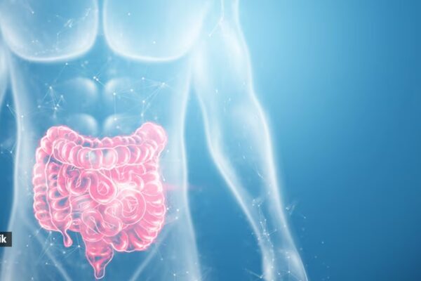 ‘I am a gastrointestinal surgeon, these are the top 4 foods I consume for better gut health’ | Food-wine News How do these foods benefit gut health?