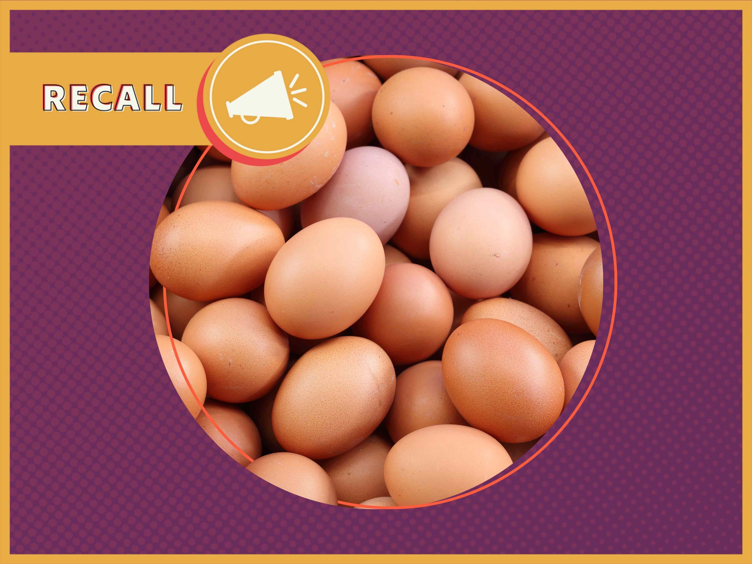 FDA Announces Recall on Eggs Due To Potential Salmonella Contamination That Has Led to 92 Illnesses
