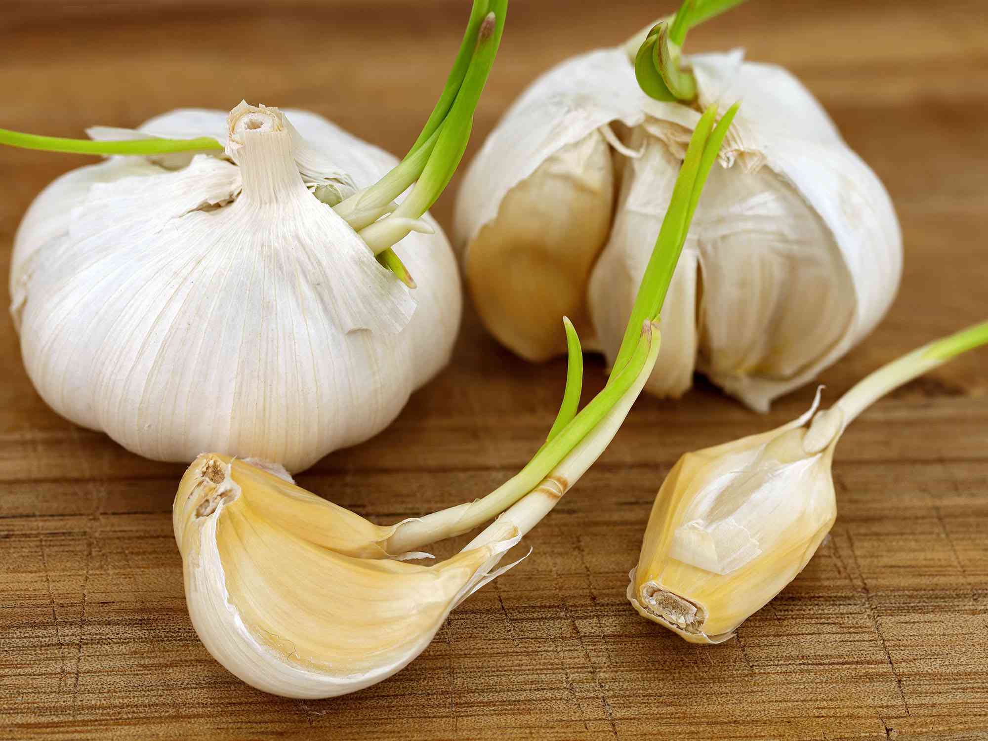 Is Sprouted Garlic Safe to Eat?