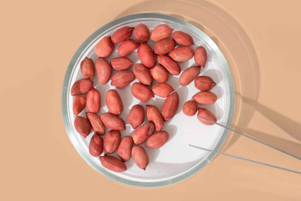 Mars Invests $5 Million in Research to Protect Peanuts Mars Invests $5 Million in Research to Protect Peanuts