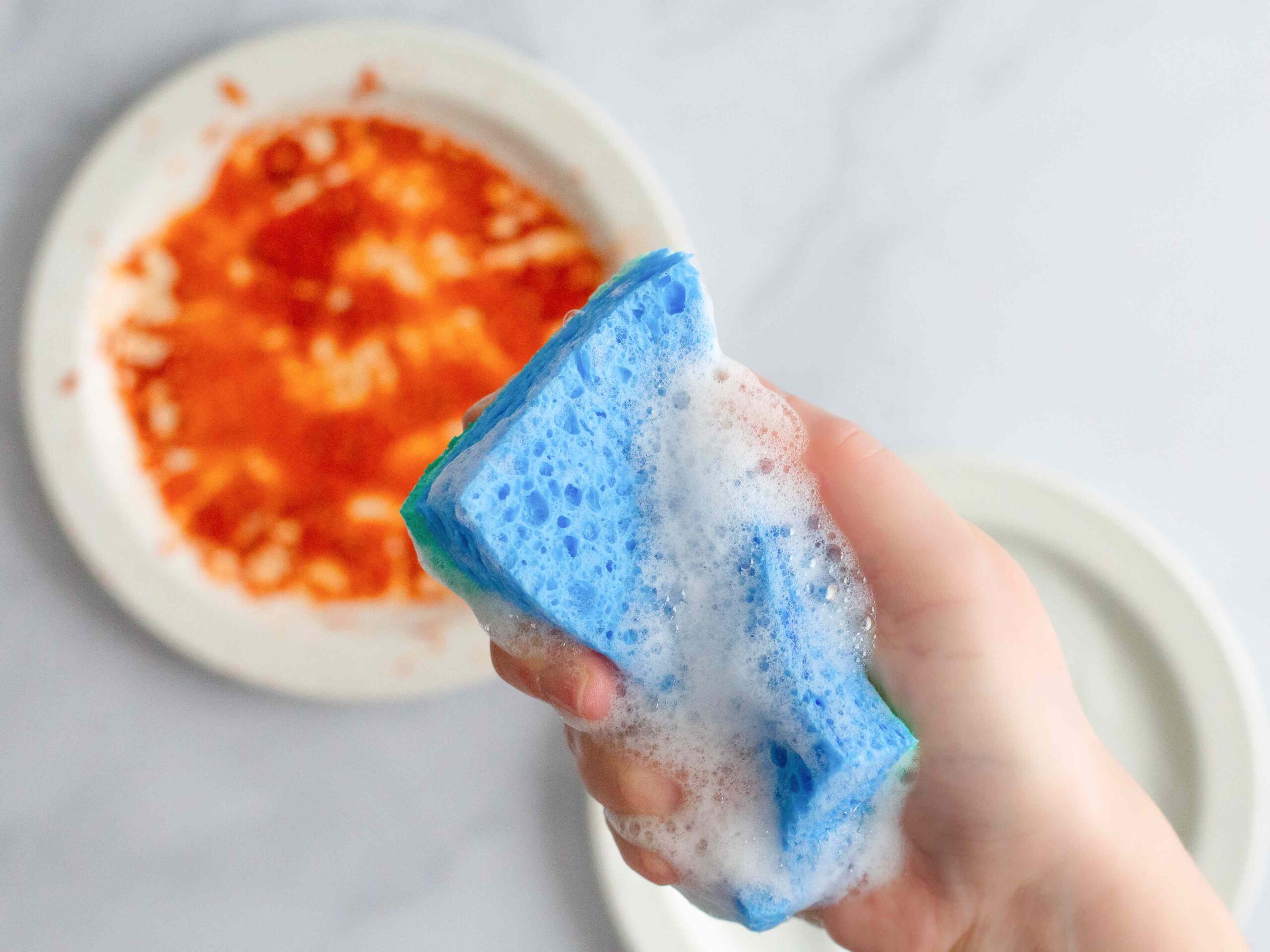 Should You Replace Your Sponge Every Week? Here's What the Science Says