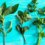 The Brilliant Way to Save Wilted Herbs (and Upgrade Any Dish)