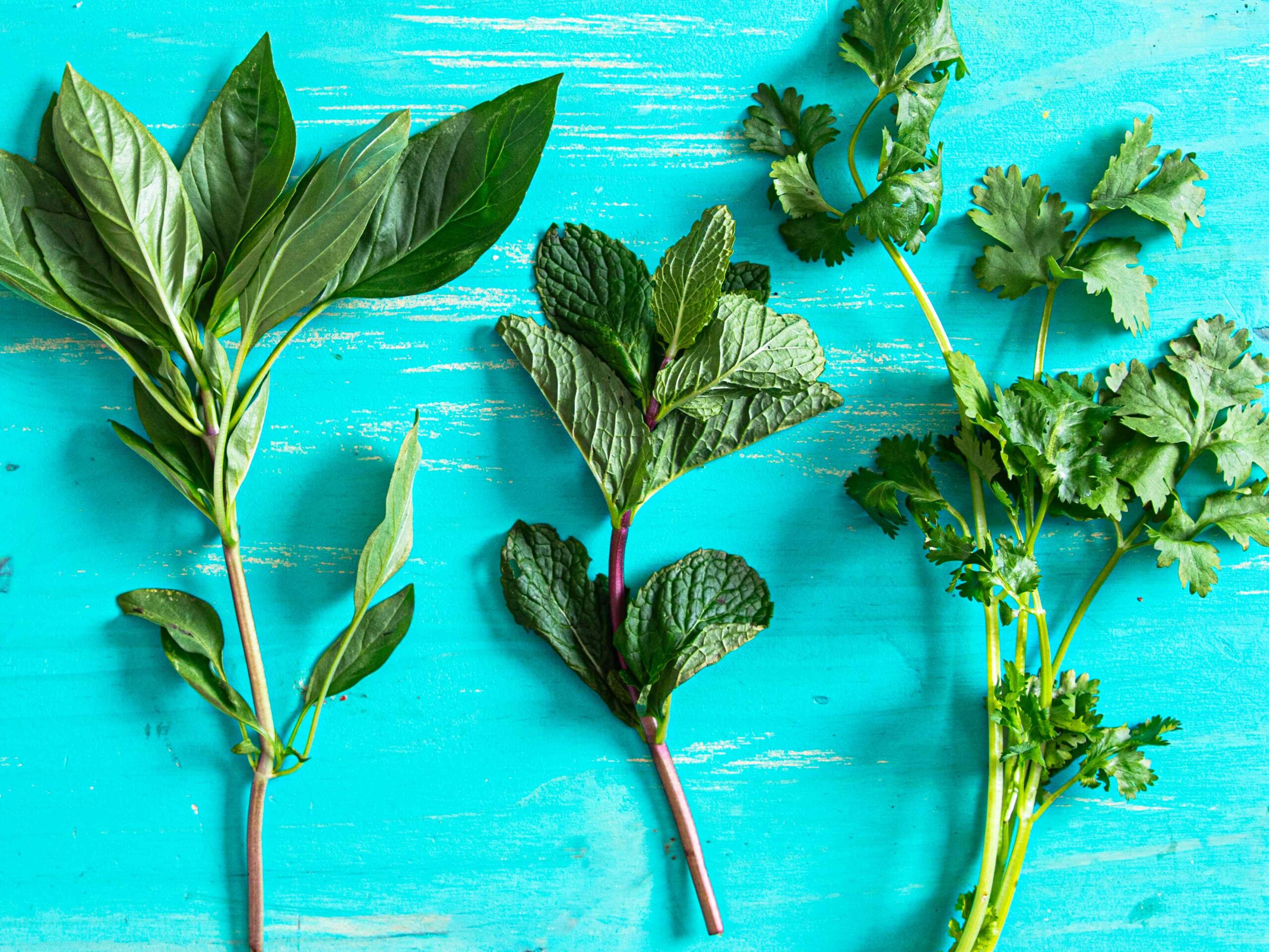 The Brilliant Way to Save Wilted Herbs (and Upgrade Any Dish)