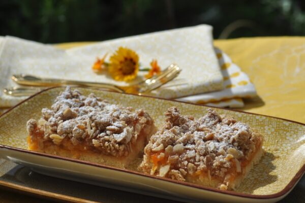 The Kitchen Lioness: Seasonal Baking: Apricot-Mixed Grain Crumb Bars The Kitchen Lioness: Seasonal Baking: Apricot-Mixed Grain Crumb Bars