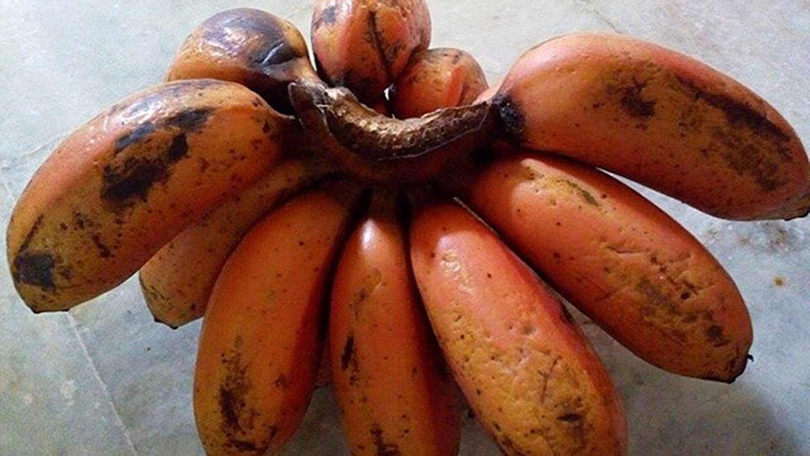What occurs to the physique once you eat purple bananas? 1 red bananas
