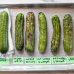 You’re Probably Storing Cucumbers Wrong—Here’s What Actually Works