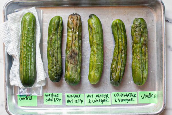 You’re Probably Storing Cucumbers Wrong—Here’s What Actually Works You’re Probably Storing Cucumbers Wrong—Here’s What Actually Works