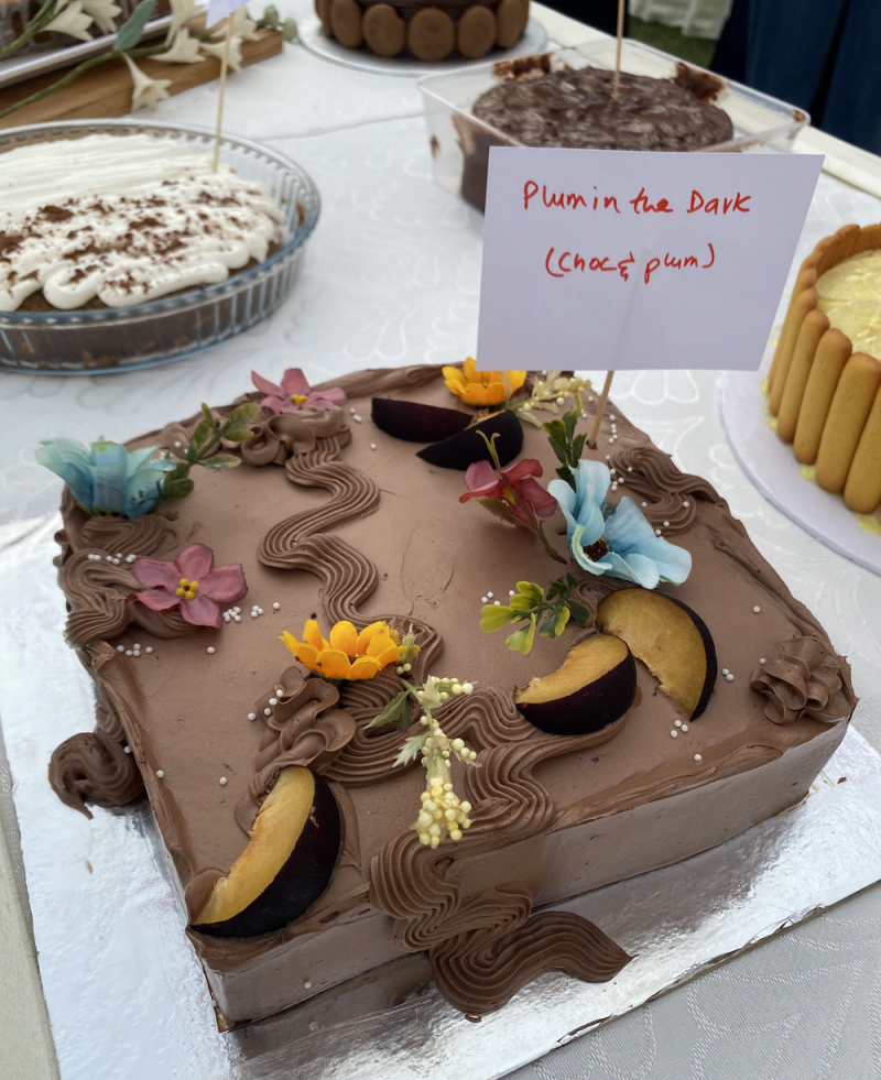 Cake, community and a safe space: Karachi hosted its very first Cake Picnic this weekend - Local
