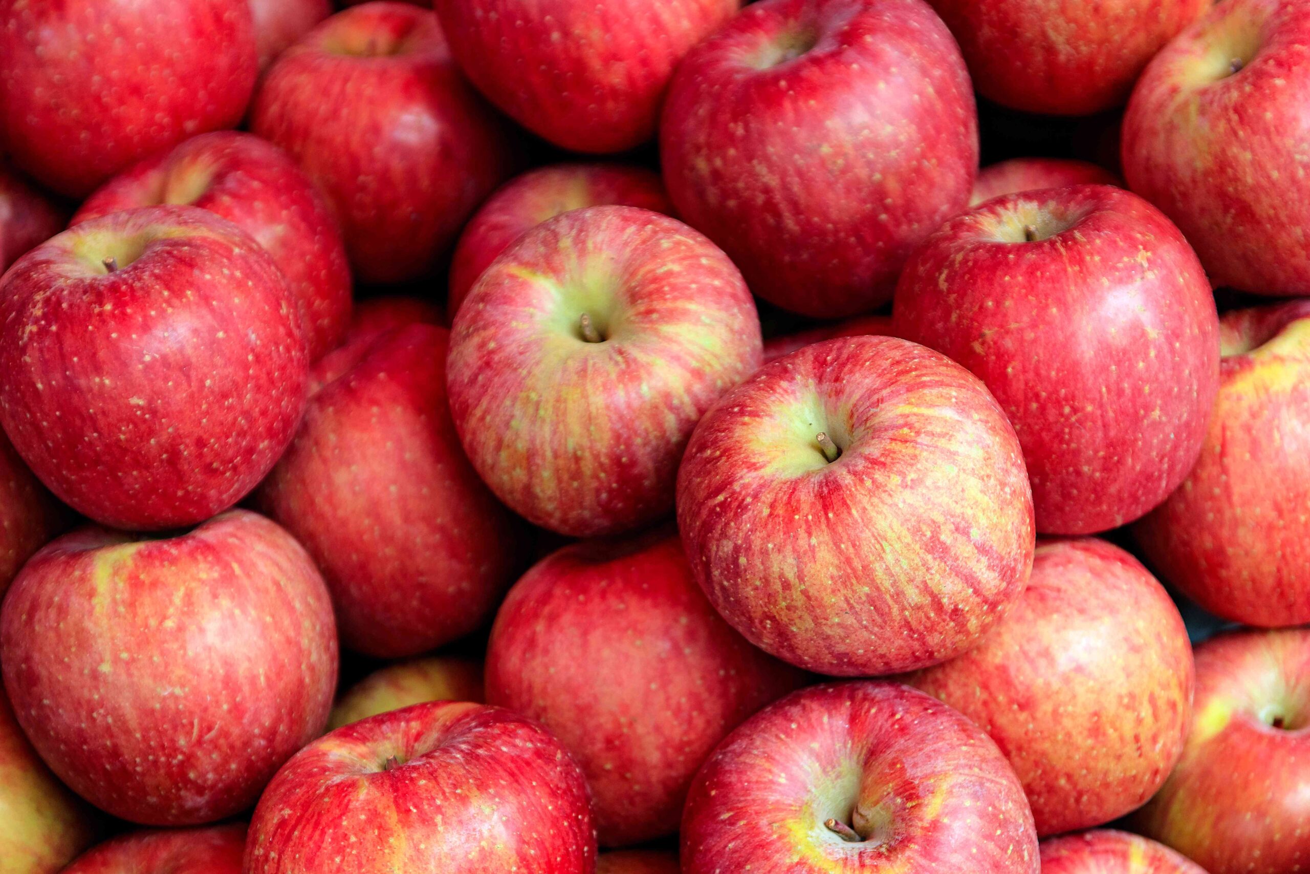 The Best Way To Store Apples, According to a Produce Expert
