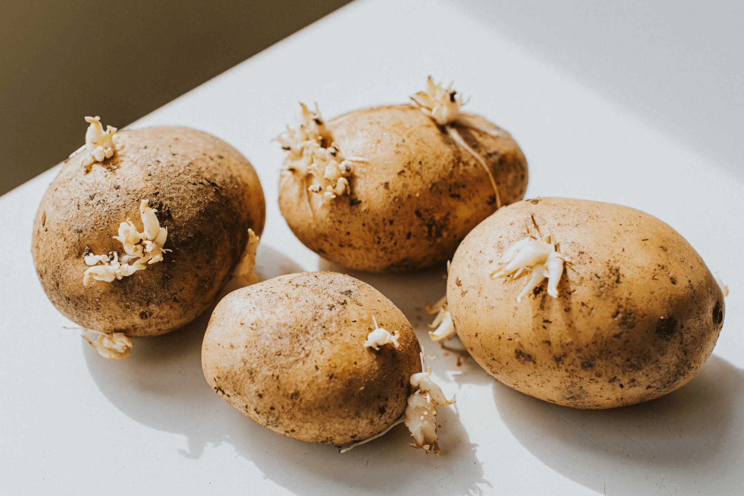 7 Foods You Didn’t Know Could Be Poisonous 1 7 Foods You Didn’t Know Could Be Poisonous
