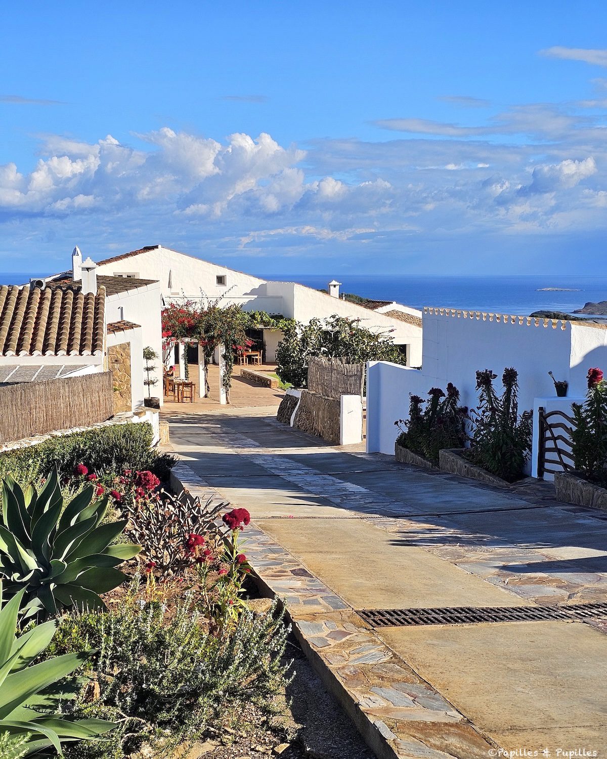 Son Vives agrotourism, Menorca: a panoramic view 5 Son Vives agrotourism, Menorca: a breathtaking view
